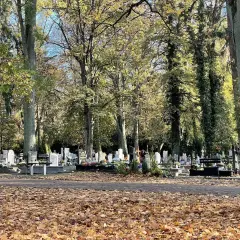Jak sprawdzić datę pogrzebu w Szczecinie i uniknąć nieporozumień