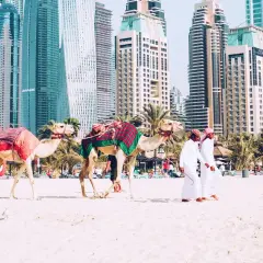 Dwa wielbłądy na plaży w Dubaju, z palmami i drapaczami chmur w tle. Zastanawiasz się, ile się leci z Polski do Dubaju?