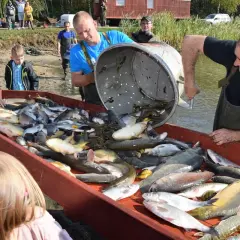 Gdzie zjeść w Dolinie Baryczy? Odkryj najlepsze lokalne smaki