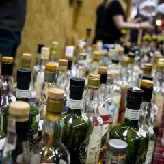 W jakim kraju pije się najwięcej alkoholu? Zaskakujące statystyki!
