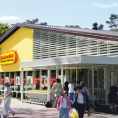 Ile jest biedronek w Radomiu? Zaskakująca liczba sklepów w mieście