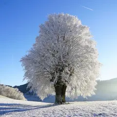 Jakie kraje pozwalają na jazdę bez prawa jazdy? Sprawdź teraz!