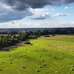 Najlepsze atrakcje w Krosnie Odrzańskim, które musisz zobaczyć