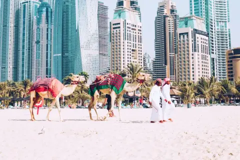 Dwa wielbłądy na plaży w Dubaju, z palmami i drapaczami chmur w tle. Zastanawiasz się, ile się leci z Polski do Dubaju?