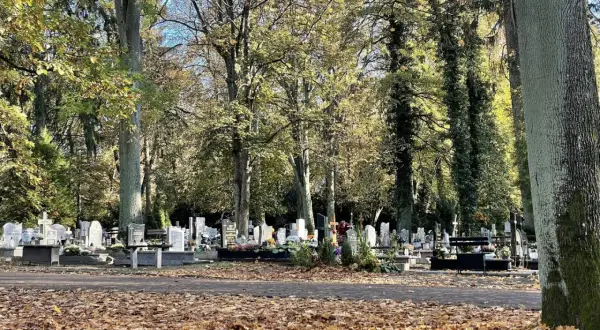 Jak sprawdzić datę pogrzebu w Szczecinie i uniknąć nieporozumień