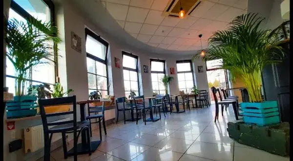 Gdzie zjeść w Zwierzyńcu? Odkryj najlepsze restauracje i smaki