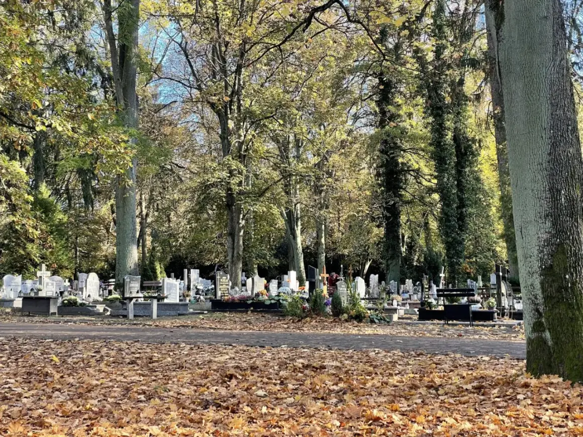 Jak sprawdzić datę pogrzebu w Szczecinie i uniknąć nieporozumień