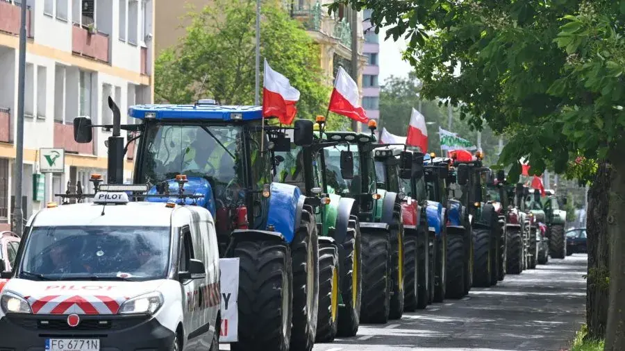 Kiedy protest w Szczecinie? Nie przegap ważnych wydarzeń społecznych