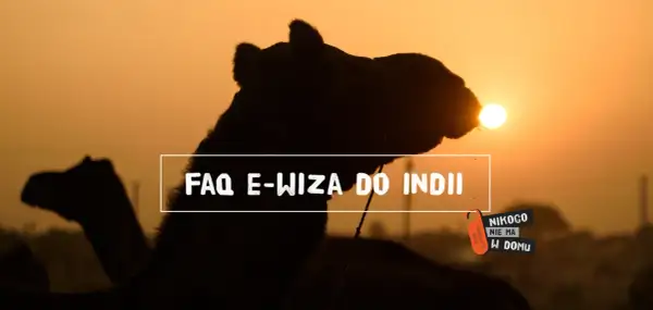 Zachód słońca nad Indiami, wielbłądy i tekst "FAQ E-wiza do Indii".