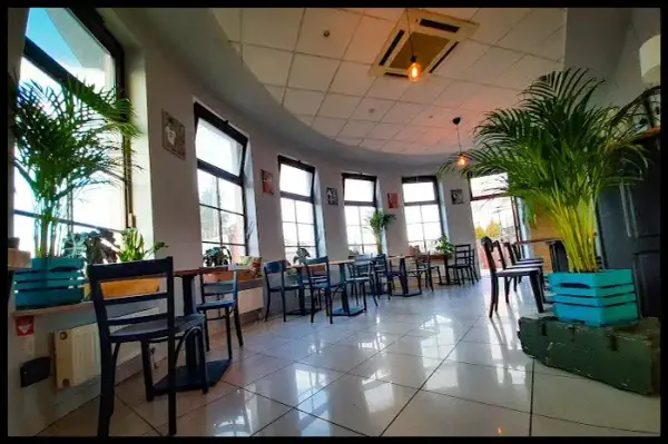 Gdzie zjeść w Zwierzyńcu? Odkryj najlepsze restauracje i smaki